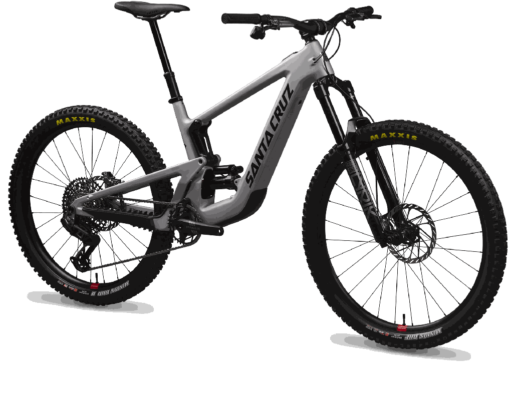 [58-24298-148-3-824-652901-02] SANTA CRUZ Heckler SL  1 C MX 24 MD SLV S CH 
